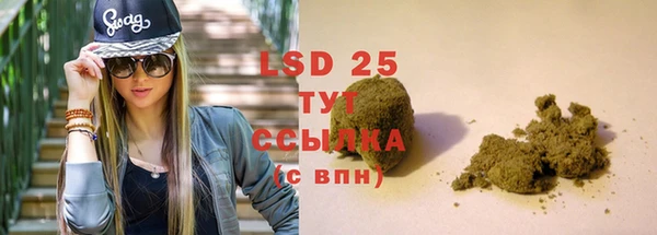 ПСИЛОЦИБИНОВЫЕ ГРИБЫ Протвино