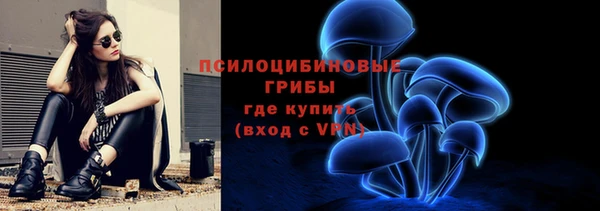 ПСИЛОЦИБИНОВЫЕ ГРИБЫ Протвино