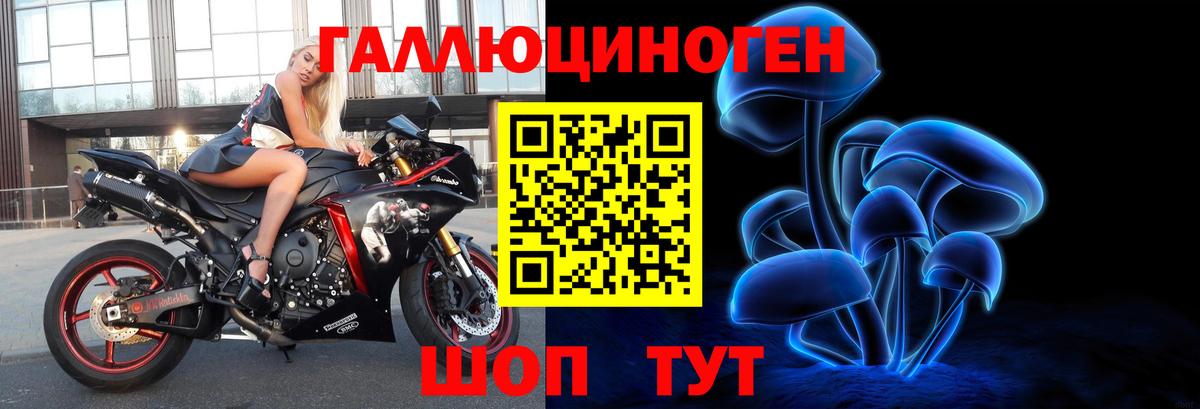 Галлюциногенные грибы прущие грибы  Псилоцибиновые грибы Psilocybe  Вход с VPN  Тейково 